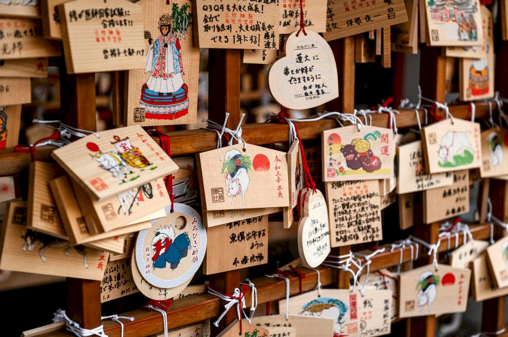 This experience offers bustling energy, authentic culinary discovery, and deep cultural immersion in Kyoto's food traditions